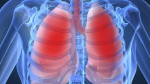 longen fysio sintmichielsgestel